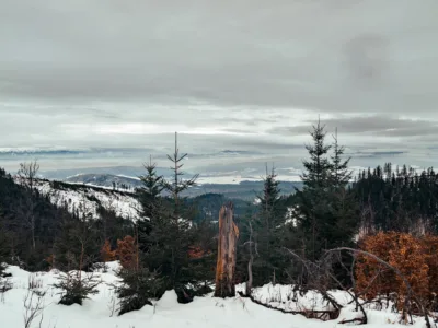Landscape shot of a Slovakian forest and mountains